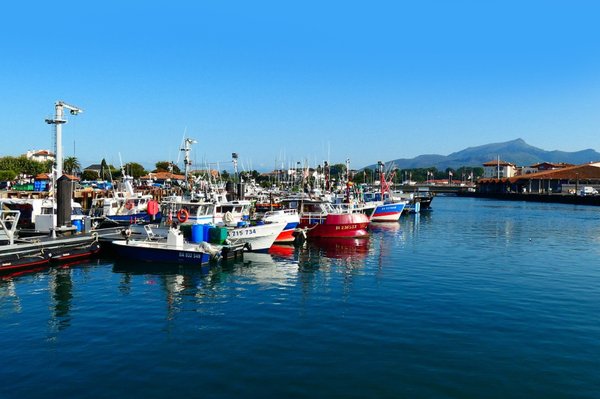 Quels sont les avantages de réserver dans un camping sans mobil home au Pays basque